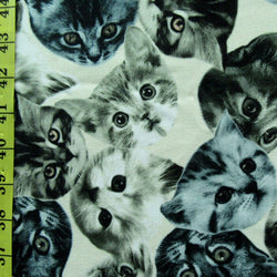 Kittens Face Print on Poly Spandex Fabric | (4 Way Stretch/Per Yard)