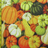 Thanksgiving Pumpkin Print on Poly Spandex Fabric (4 Way Stretch/Per Yard)
