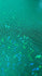 Kelly Green & Green Shattered Glass w/ Holographic Foil Spandex Fabric | (4 Way Stretch/Per Yard)
