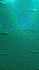 Kelly Green & Green Shattered Glass w/ Holographic Foil Spandex Fabric | (4 Way Stretch/Per Yard)