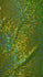 Silver & Neon Green Shattered Glass w/ Holographic Foil Spandex Fabric | (4 Way Stretch/Per Yard)