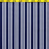 Vertical Stripes on Poly Spandex Fabric (White/Navy Blue) | (4 Way Stretch/Per Yard)