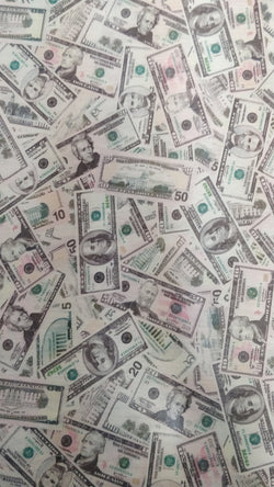 Cash Money on Printed Mesh Fabric | (4 Way Stretch/Per Yard)