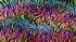 Rainbow Pride Zebra Print on Poly Spandex Fabric | (4 Way Stretch/Per Yard)