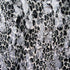 Spotted Printed Lace Fabric (Black/Natural) | (2 Way Stretch/Per Yard)