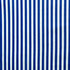 Vertical Stripe Print on Poly Mesh Fabric (White/Royal) | (2 Way Stretch/Per Yard)