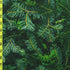 Jungle Leaves Print on Poly Spandex Fabric | (4 Way Stretch/Per Yard)