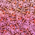 Holographic Money Print (100 Dollar) with Gold Shiny Dots on Poly Spandex Fabric (Fuchsia) | (4 Way Stretch/Per Yard)