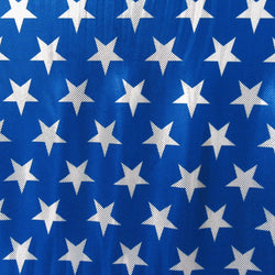 Holographic Star Print with Shiny Dots on Poly Spandex Fabric (Blue/Silver) | (4 Way Stretch/Per Yard)