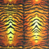 Classic Tiger Print on Poly Spandex Fabric | (4 Way Stretch/Per Yard)