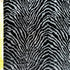 Tiger Printed on Burnout Velvet |  (4 Way Stretch/Per Yard)