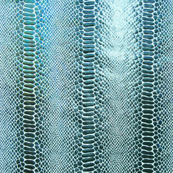 Holographic Ombre Snake Skin Print on Nylon Spandex Fabric (Black/White) | (4 Way Stretch/Per Yard)